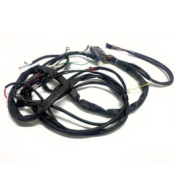 Piaggio Vespa Wiring Harness PX (1998-Onwards) Electric Start Model